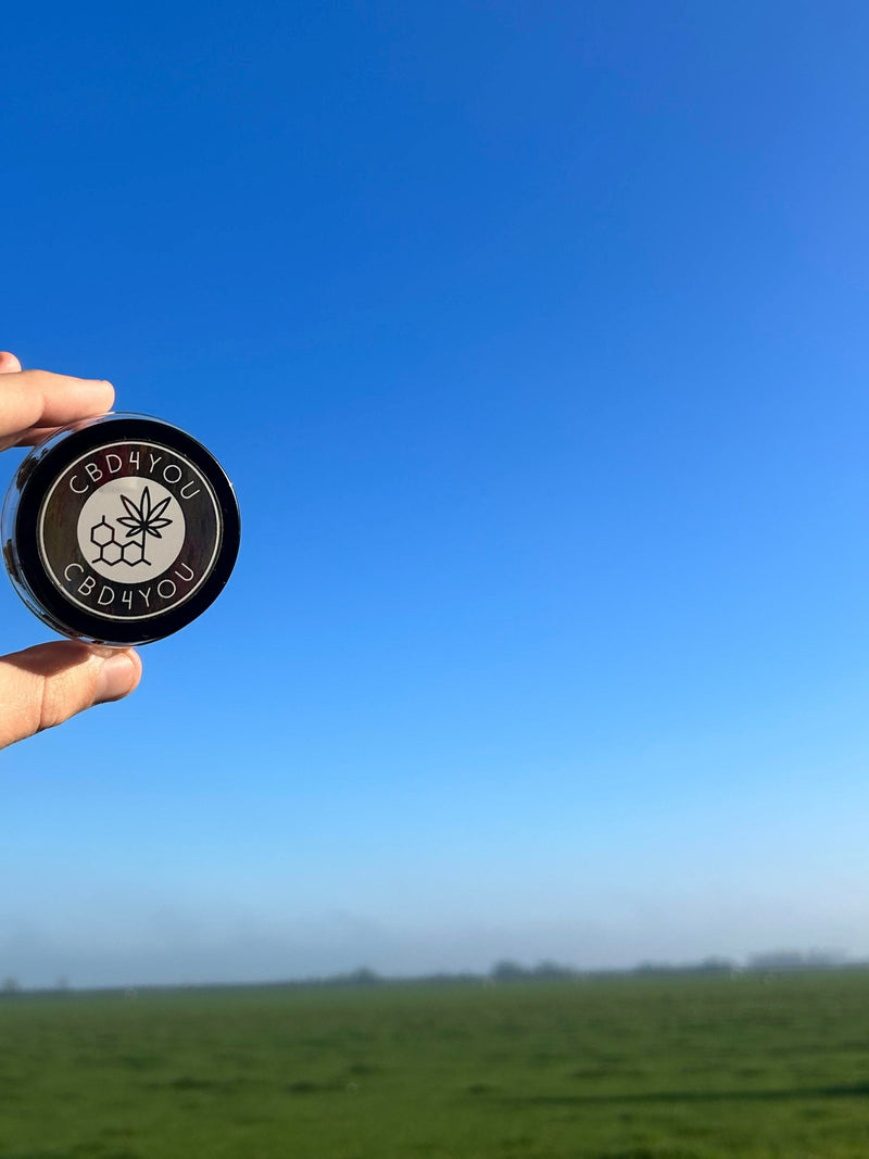 Wat Is CBD Wiet? Uitleg en Verschil Met Gewone Wiet