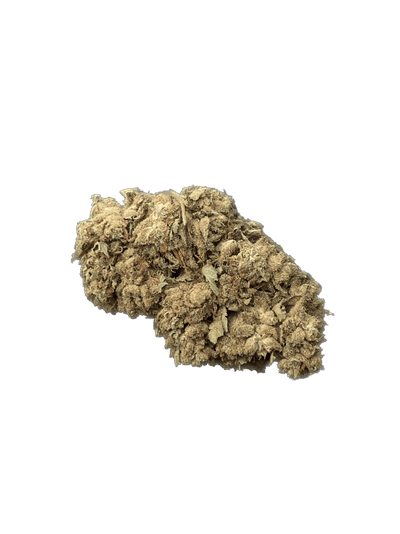 CBD Banana Kush Glasshouse