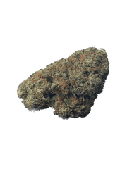 CBD Strawberry Haze Glasshouse afbeelding 1