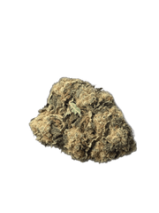 CBD V1 Greenhouse afbeelding 1