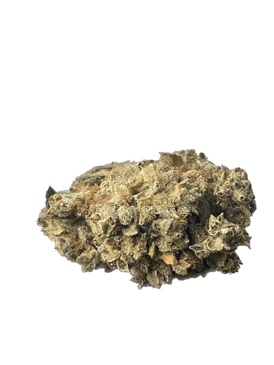 CBD Candy Melon indoor