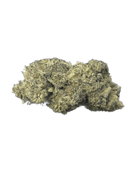 CBD Gelato indoor afbeelding 1